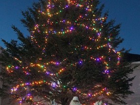 Santa stopped into Millet Friday to see the tree at the Civic Centre lit up for Christmas.
Christina Max