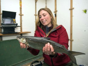 Lillian Smedley, the author’s daughter, savours ice-shack life with a nice whitefish. JAMES SMEDLEY