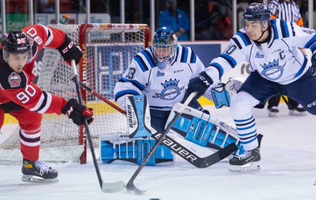 Wolves add overage goalie Brassard from QMJHL | Sudbury Star