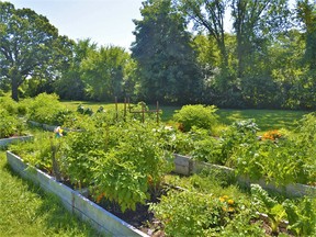 Applications for the city's Community Garden program will be accepted until Feb. 26 and garden plots will be awarded through a lottery draw soon after.