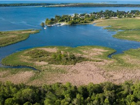 The Nature Conservancy of Canada (NCC) announced it has conserved an additional 74 acres (30 hectares) of Brighton Wetland on Lake Ontario near Presqu'ile Provincial Park to increase the protection of important wetlands for migratory birds.