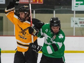 Connor Aarts and Logan Lawrence clash in the Jan. 20 matchup between the Exeter Hawks and the Lucan Irish. Dan Rolph