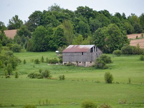 An old bank barn sits on the side of a hill in Meaford. (Rob Gowan/Postmedia Network)