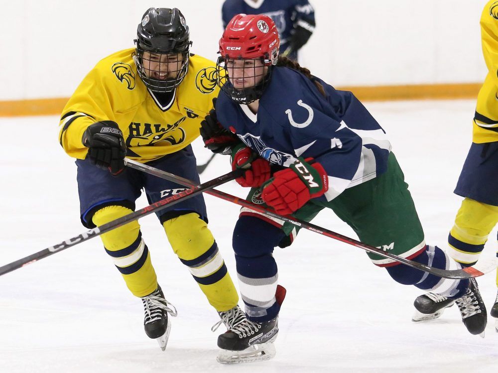 High school roundup: Hawks, Lancers in hockey finals; Royals curling ...