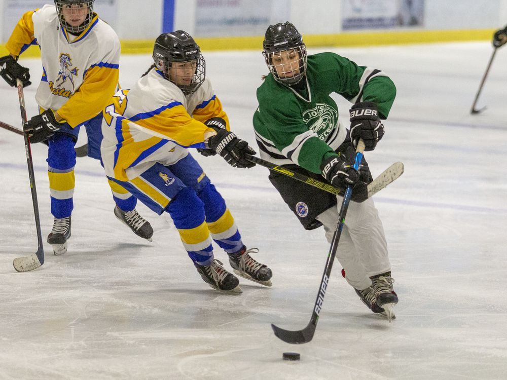 Eagles pick up backtoback wins against Mustangs in girls hockey