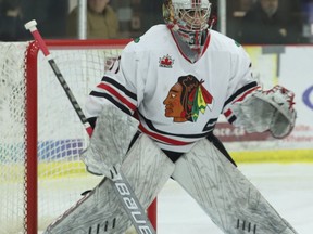 Brockville goalie Sami Molu, shown here in the Braves' home game against Pembroke on Friday night, made 43 saves and was named first star in Brockville's 3-1 win at Navan on Sunday afternoon.
Tim Ruhnke/The Recorder and Times