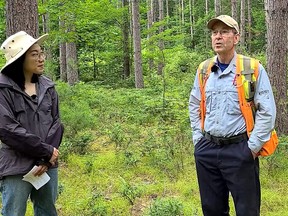 Jenny Liu, maple, tree nut and agroforestry specialist with the Ontario Ministry of Agriculture, Food and Rural Affairs, left, and Al Stinson, retired forestry specialist with the Ontario Ministry of Natural Resources and Forestry, discuss proper woodlot management in a video recorded for the Ontario Agricultural Conference. (Screenshot/Postmedia Network)