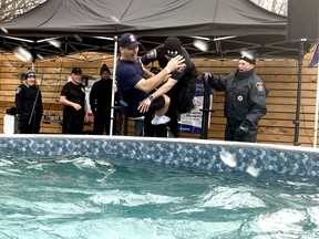Chatham firefighter Derek Buchanan, left, is tossed into a pool of icy-cold water by fellow firefighter John Benoit, who is also an EMS, during the Polar Plunge held the Sons of Kent Brewery in Chatham on Saturday.  PHOTO Ellwood Shreve/Chatham Daily News