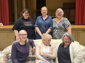 The cast of Remember, Maggy?  In the front row from left: Lisa Franks, playwright Carol Murray and Robyn Brady.  In the back from left: JC Wright, Henri Canino and Gina Paradis.  Dan White photo