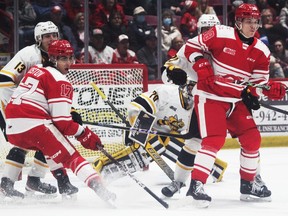 Sarnia Sting goaltender Ben Gaudreau tries to stop traffic in front of the net against the Soo Greyhounds at the GFL Memorial Gardens in Sault Ste.  Marie, Ontario on Friday, January 27, 2023. Gordon Anderson/Sault Star/Postmedia Network