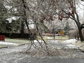 Collapsed branches on a cul-de-sac near Nick Kaneb Drive in Cornwall. Photo on Thursday, January 5, 2022. Todd Hambleton/Cornwall Standard-Freeholder/Postmedia Network