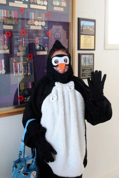The penguins are back as Frost Fest returns to Seeley’s Bay Cornwall