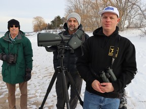 Volunteers with Bird Friendly Sarnia, from left, John Cooke, Hugo Troccoli and Matt Parsons, set up for birding Friday on the beach at Mike Weir Park in Bright's Grove.