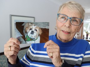 Marg Allen holds of photo of her dog, Bernie, at her home in Sarnia. Bernie died just before Christmas and Allen is circulating a petition calling for improvements to the city's after-hours emergency veterinary care.