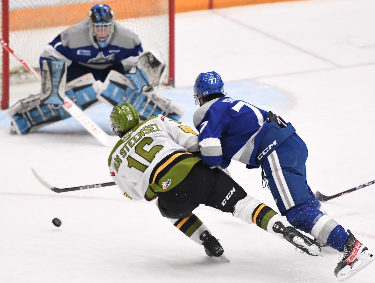 Sudbury Wolves - The Wolves will host the Mississauga