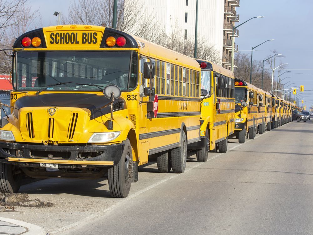 School buses cancelled Friday in the Sarnia area Strathroy Age Dispatch