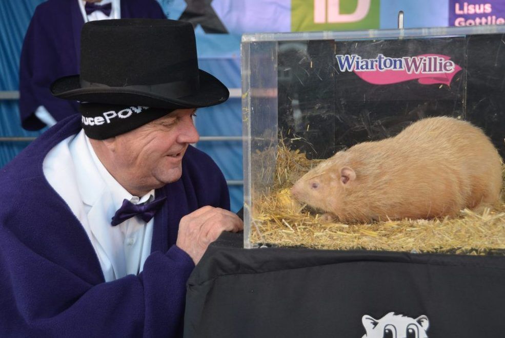 Wiarton Willie says it s an early spring The Paris Star