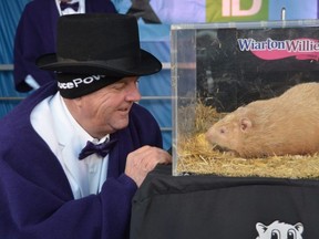 South Bruce Peninsula Mayor Gary Michi with Wiarton Willie after getting his prediction of an early spring on February 2, 2023 in Wiarton, Ontario.