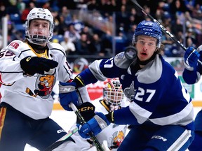 Brandt Clarke (55) of the Barrie Colts and Quentin Musty (27) of the Sudbury Wolves keep their eyes on an airborne puck in front of Colts goalie Anson Thornton during OHL action at Sudbury Community Arena on Sunday, February 5, 2023. Gino Donato/For The Sudbury Star