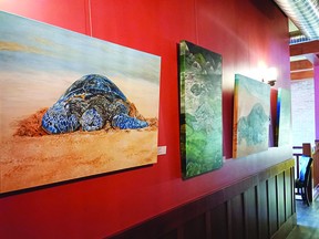 Carleen Ross' "Journey to the Sea Turtle" collection will be shown at the Zyp Art Gallery in Calmar, February 1 to March 31. Ross will be present for the official opening on February 17. (supplied)