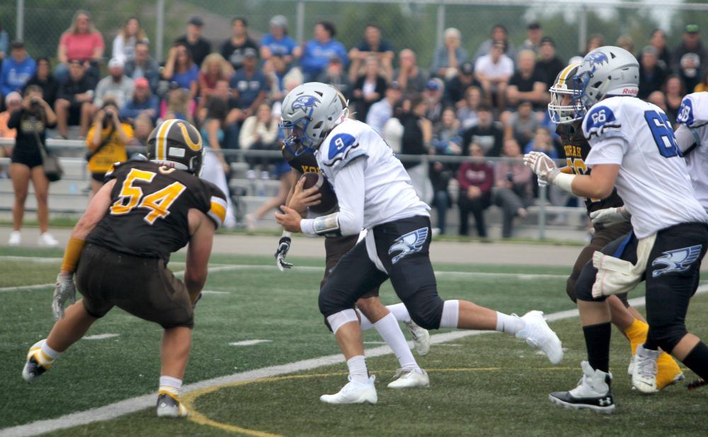 Gabe Barkley Ottawa Gee Gees U Sports football Steelhawks | Sault Star