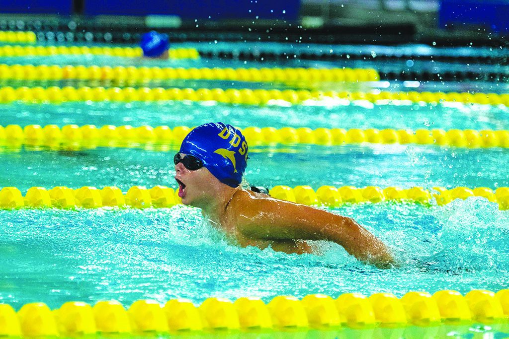 Dolphins Swim Club set to dive into new season Devon Dispatch