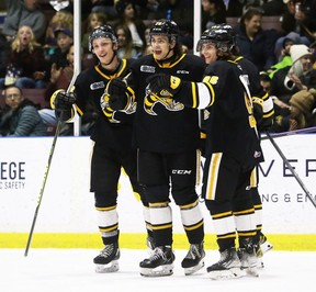 Sting's big guns take out Battalion | The Sarnia Observer