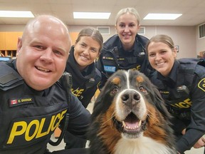 Tucker and his handler from Boots on the Ground visited with Constables Ed Sanchuk, Mary Hawkes, Alex Reles, and Mara Wilson at the Norfolk County OPP detachment on Friday.