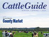 cattle_cover