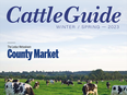 cattle_cover