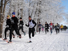 A record 55 participants head off into the Summerstown Forest for the 9th-annual Dion Snowshoe Race on Saturday February 11, 2023 north of Summerstown, Ont. Greg Peerenboom/Special to the Cornwall Standard-Freeholder/Postmedia Network