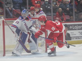 Soo Greyhounds forward Christopher Brown skates in front of Kitchener Rangers goaltender Marco Constantini in OHL action at the GFL Memorial Gardens on Feb. 17. The Hounds finished up the season series against the Rangers, losing three of four to the Blueshirts.