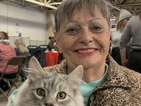 Connie Coll of Sibericat Cattery with Crush, a Siberian Forest Cat, at the Kingston Cat Show at Portsmouth Olympic Harbour on Sunday.