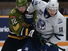 London Knights take a loss from the Mississauga Steelheads