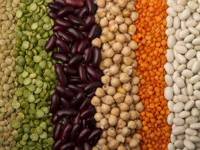 mixed dried beans paved strips, for a colorful background.