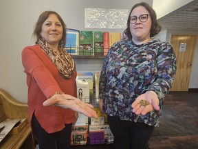 Callie Hill, left, executive director at Tsi Tyónnheht Onkwawén:na, and Erica Gray, Kanyen'kéha Revitalization Apprentice at TTO, show off traditional tobacco seeds inside the office at TTO. A tobacco pouch workshop being held Saturday is part of TTO's ongoing efforts to revitalize Mohawk language. (Jan Murphy/Local Journalism Initiative Reporter)