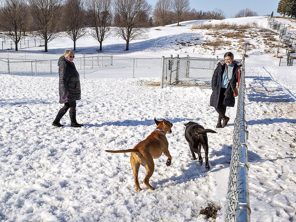 New Arrowdale Community Park set to open soon in Brantford