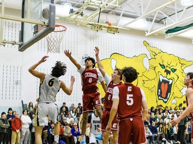 Cobras Yash Swaminathan, centre, watches as a shot bounces on the rim after Bobcats Paulo Cuestas' layup at Bow Valley High School in Cochrane on Thursday, March 2, 2023. The Bobcats beat the Cobras 76-69 in the RVSA play-off semifinal.
