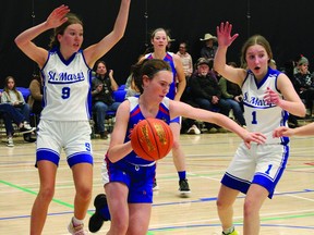 Knight Faith Lundberg dribbles the basketball March 7 at the 2A South Zone Basketball Championships at Lethbridge College.