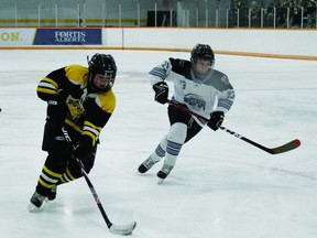 Palomino Leonardo Wickett skates the puck towards Strathmore's goal during the Nanton U13 team's 3-2 overtime win Saturday, March 4 at the Tom Hornecker Recreation Centre. The Central Alberta Hockey League playoff contest was among the games that Nanton Minor Hockey teams played March 4 during the inaugural Minor Hockey Day in Nanton.
