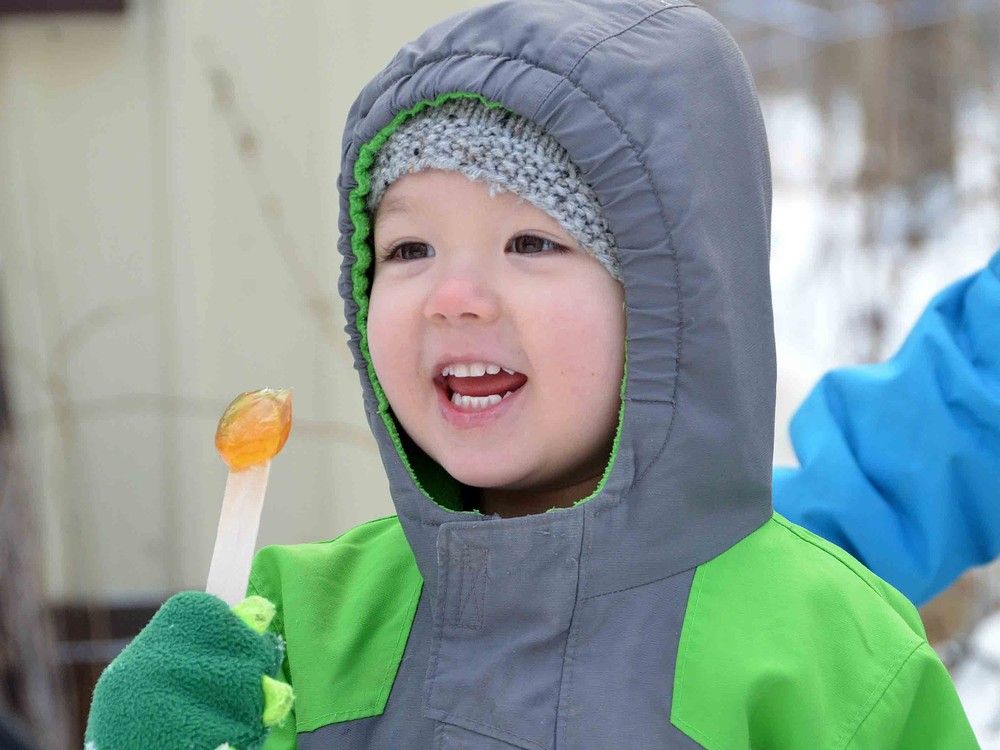 Maple Magic syrup festival at elk farm cancelled this year Seaforth