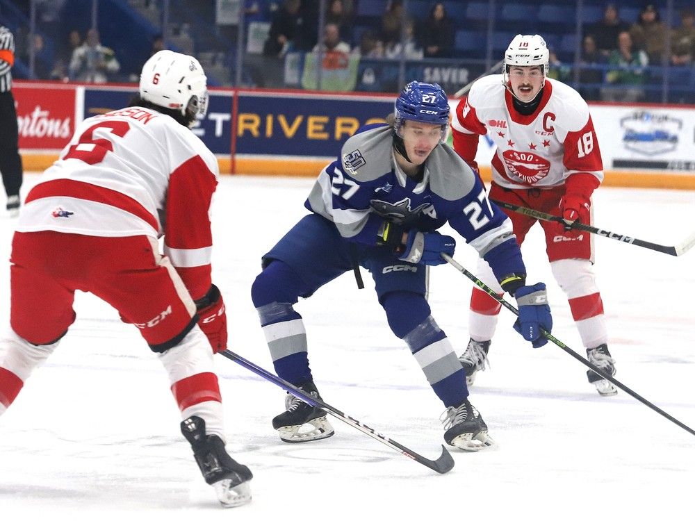 Everimproving Musty seeks to set an example in OHL playoffs Sudbury Star