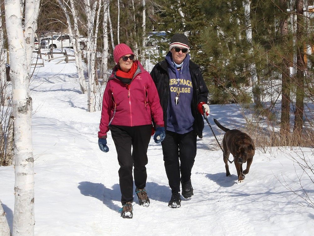 Kivi Park wellness program shows time outdoors improves health
