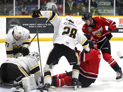 Sting buzz through the Bayshore in final Attack home game