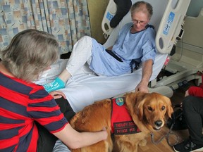 St. John Ambulance pet therapy program co-ordinator Joey Kirkwood (right) and Zumi visit a Sault Area Hospital patient and his spouse.  Photo provided