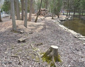 Ash logs are stacked at the Harrison Park Bird Sanctuary on Thursday, April 27, 2023 after city officials removed trees infested by the emerald ash borer ahead of the campground's opening and campers' arrival this summer.