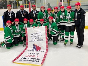 The Wingham/Lucknow U13 C girls team went undefeated this season before clinching the Ontario Women's Hockey Association championship. Submitted photo.