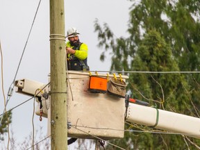 This week, a delegation from TELUS presented a status report to City Council following the completion of the community's PureFibre build earlier this year.