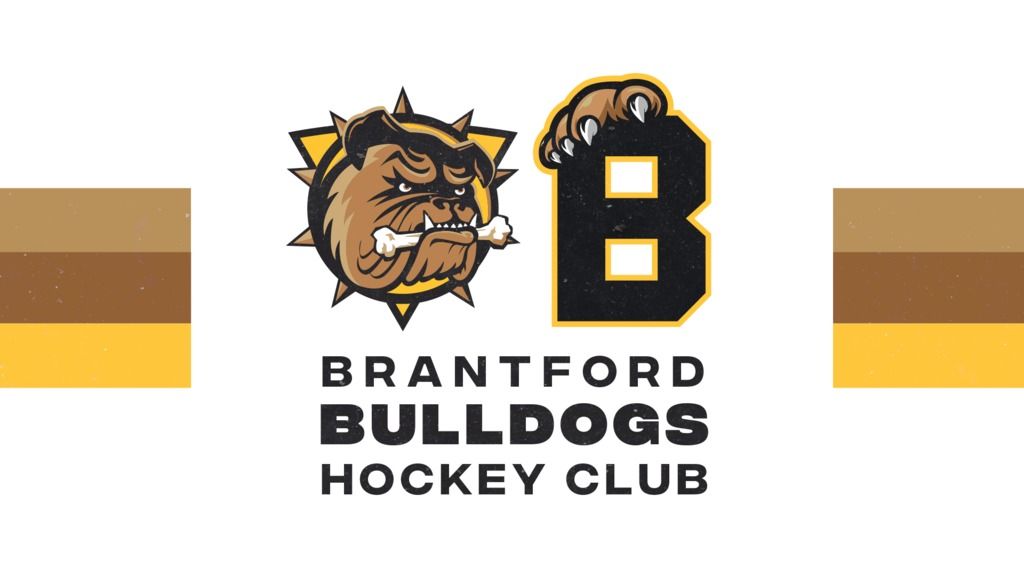 2022 OHL Priority Selection Draft Preview Guide Now Available - Brantford  Bulldogs