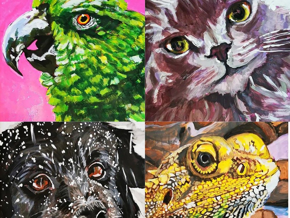 Cultivating Creativity: The Pet Portrait Project at the QAC | Brockville Recorder & Times - Vimarsana News